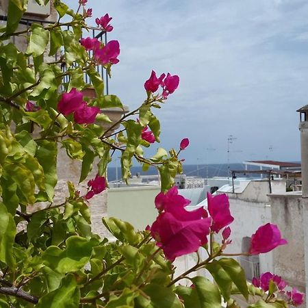 La Casetta Nel Vico Polignano a Mare Esterno foto