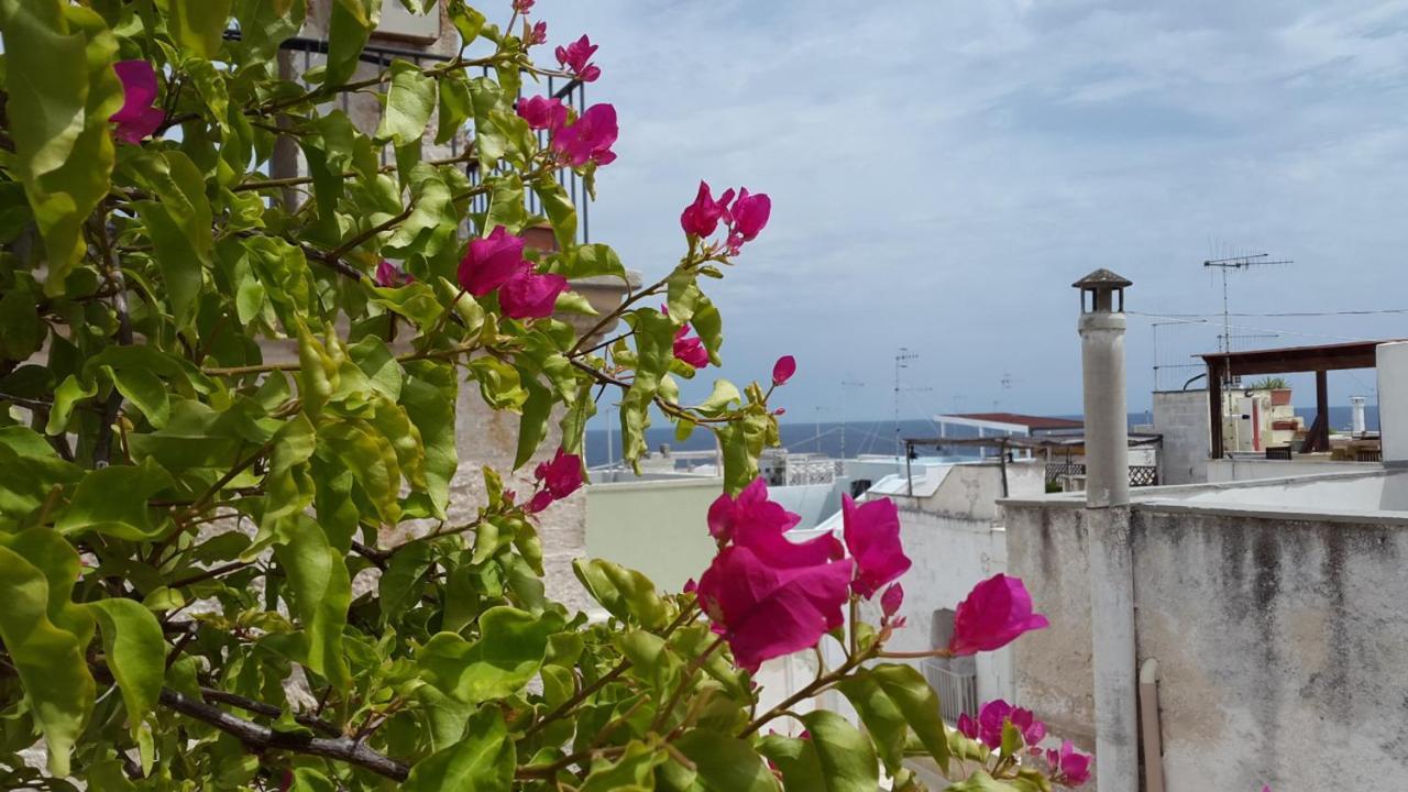 La Casetta Nel Vico Polignano a Mare Esterno foto